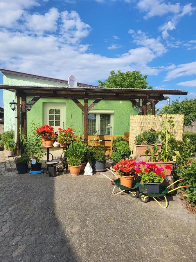 Ferienwohnung Bauerngarten Klein Vielen Eksteriør bilde